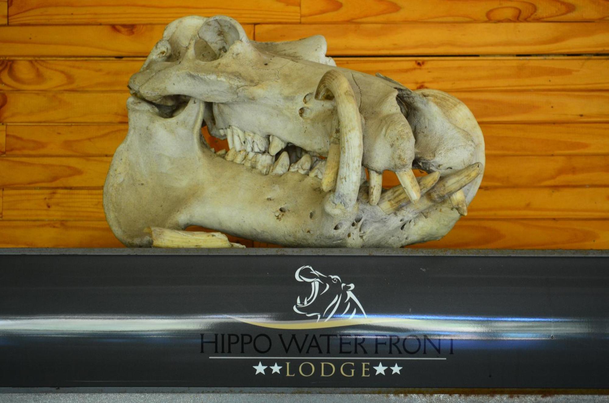 Hippo Water Front Lodge Mbombela Buitenkant foto